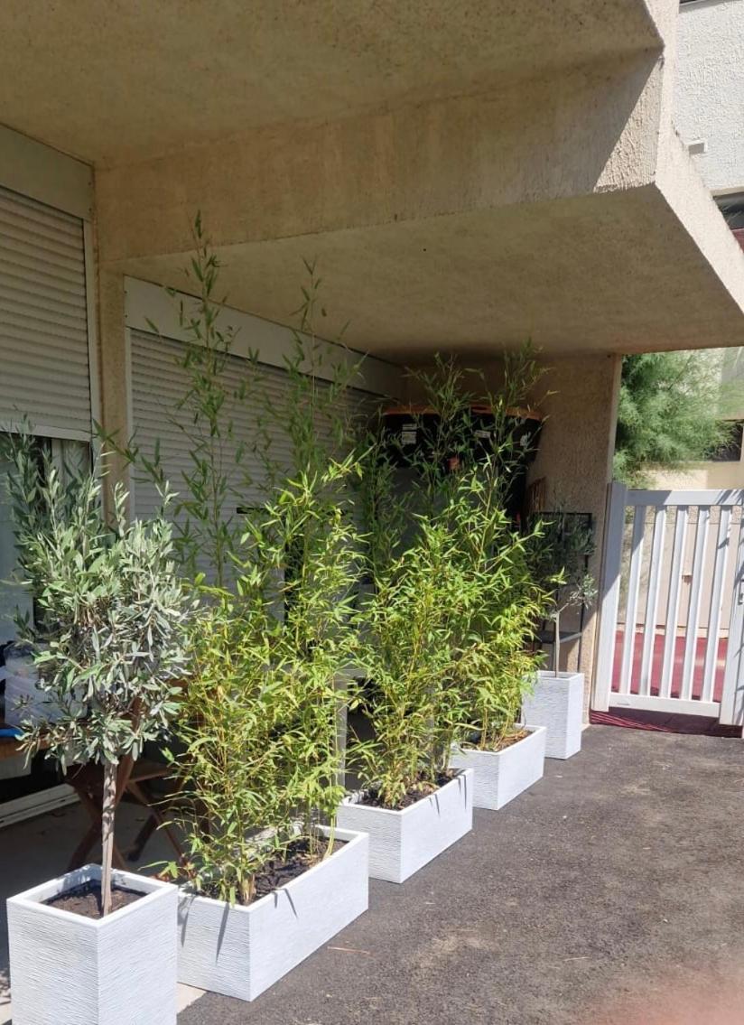 Asklan Apartamento Bormes-les-Mimosas Exterior foto