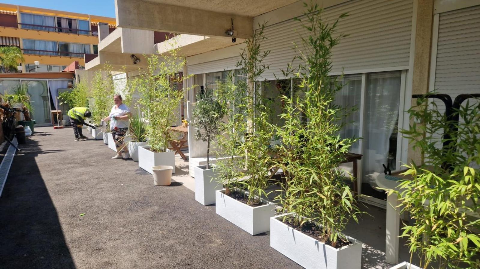 Asklan Apartamento Bormes-les-Mimosas Exterior foto