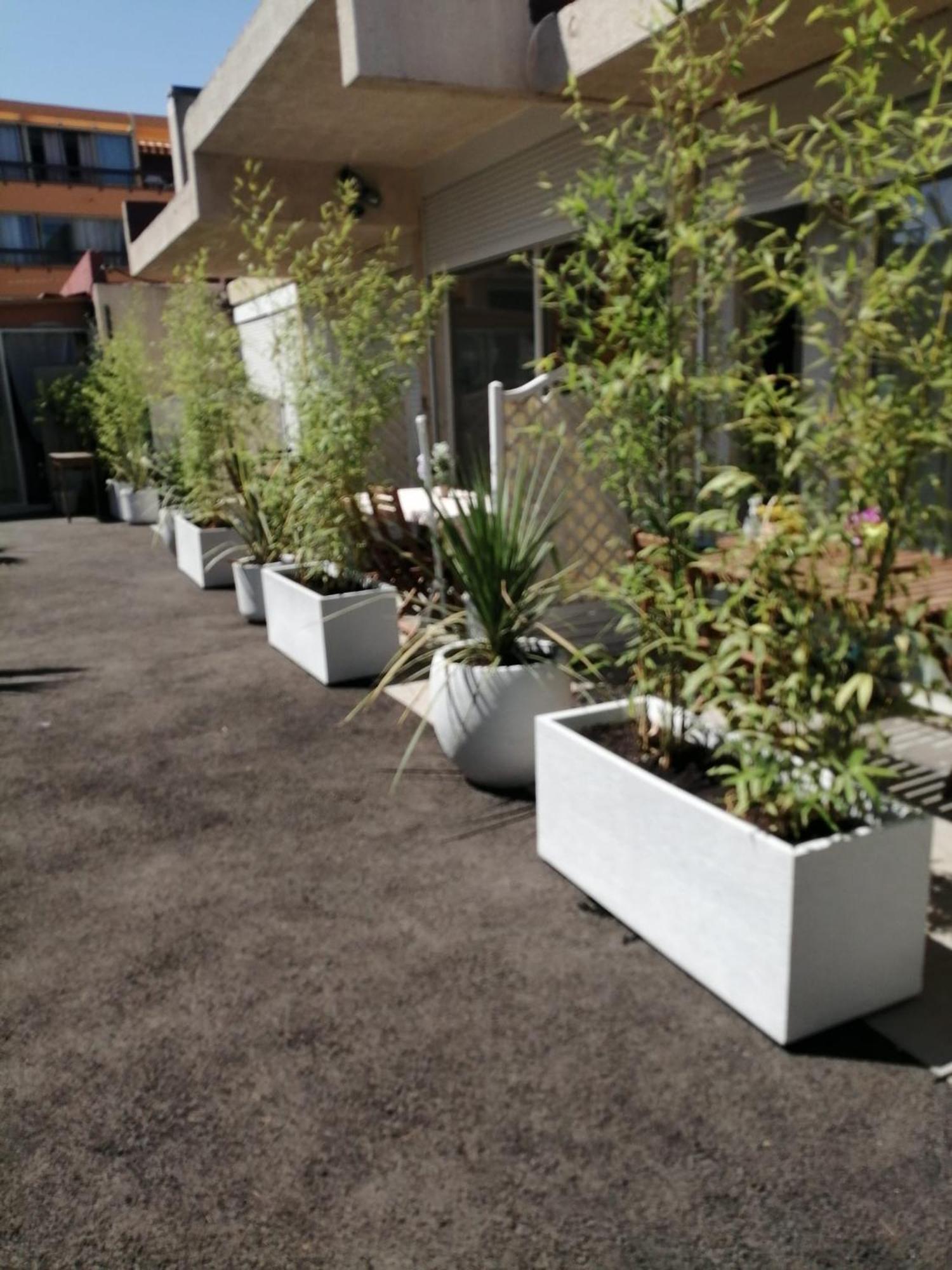 Asklan Apartamento Bormes-les-Mimosas Exterior foto