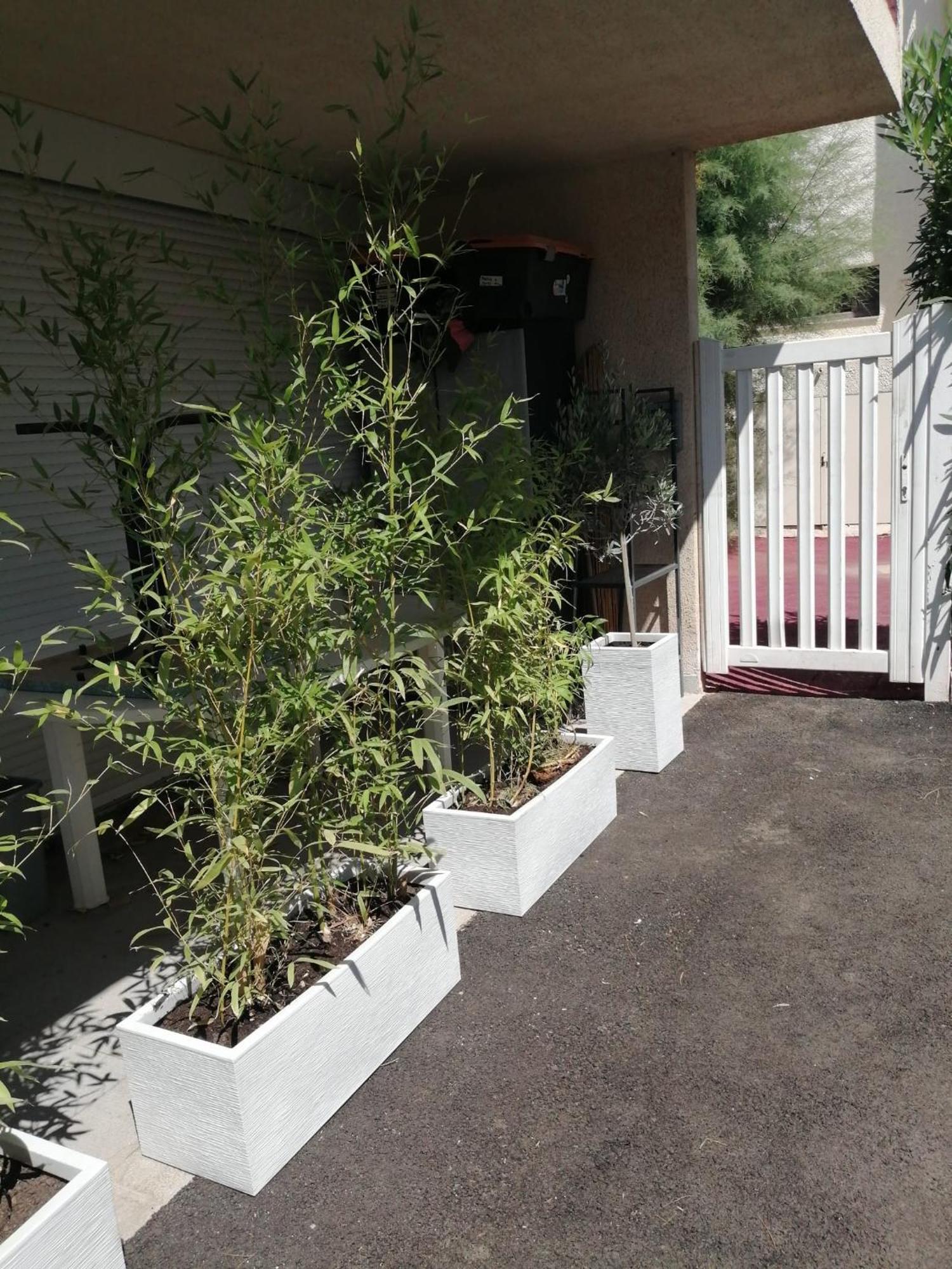 Asklan Apartamento Bormes-les-Mimosas Exterior foto